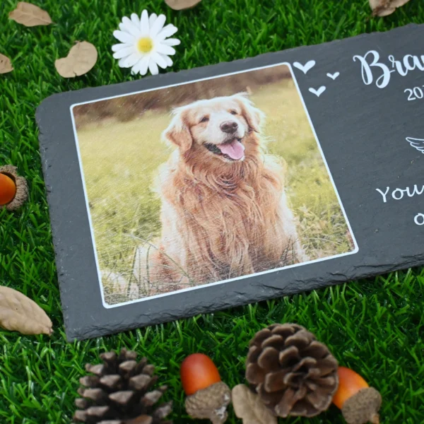 Memorial Personalizável em Ardósia para Pet