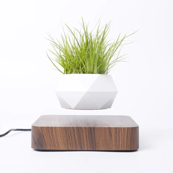 Vaso Geométrico Flutuante
