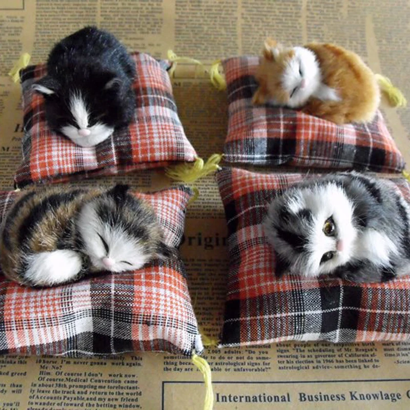 Gatinhos Dormindo