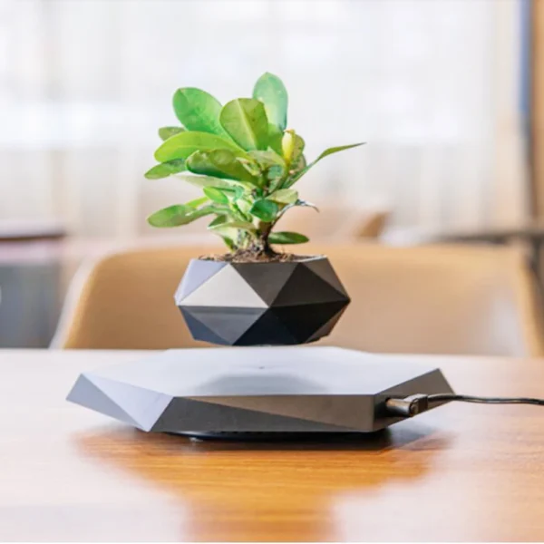 Vaso Geométrico Flutuante