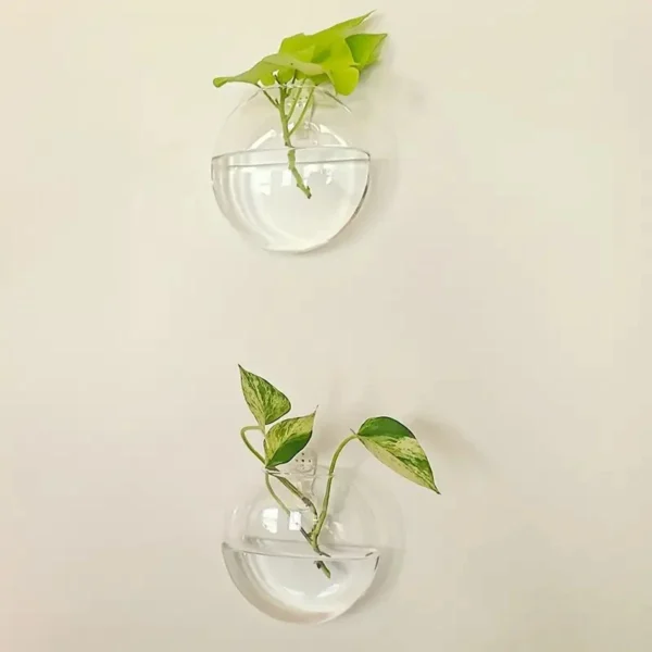 Vaso Hidropônico para Parede
